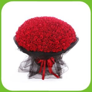 999 Red Roses Packed at Source Bouquet
