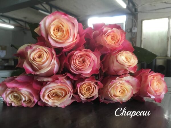 Chapeau – Premium Big-Head Roses - Image 2