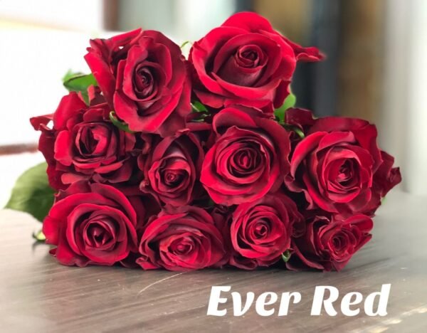 Ever Red – Premium Big-Head Roses - Image 8