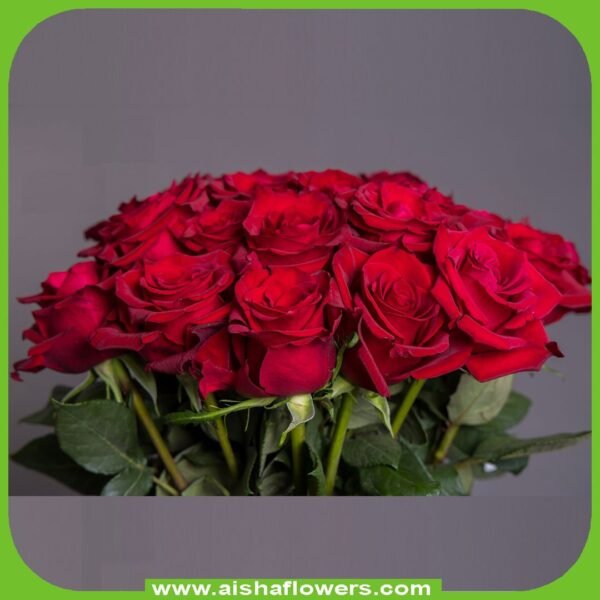 Ever Red – Premium Big-Head Roses - Image 2