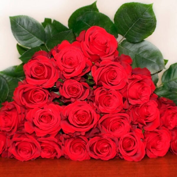 Sexy Red Roses – Premium Big-Head Roses - Image 3