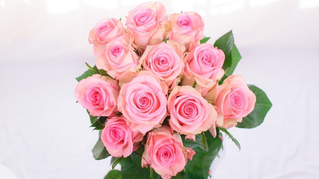 Svetlana – Premium Big-Head Roses - Image 2